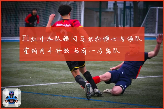 F1红牛车队顾问马尔科博士与领队霍纳内斗升级 或有一方离队