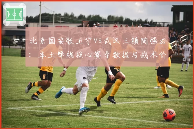北京国安张玉宁vs武汉三镇陶强龙：本土锋线核心赛季数据与战术价值深度对比