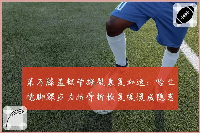 莱万膝盖韧带撕裂康复加速，哈兰德脚踝应力性骨折恢复缓慢成隐患